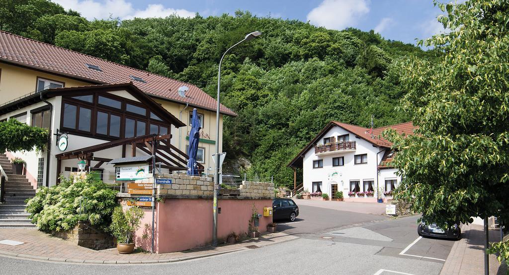 Hotel Berg Dannenfels Екстериор снимка